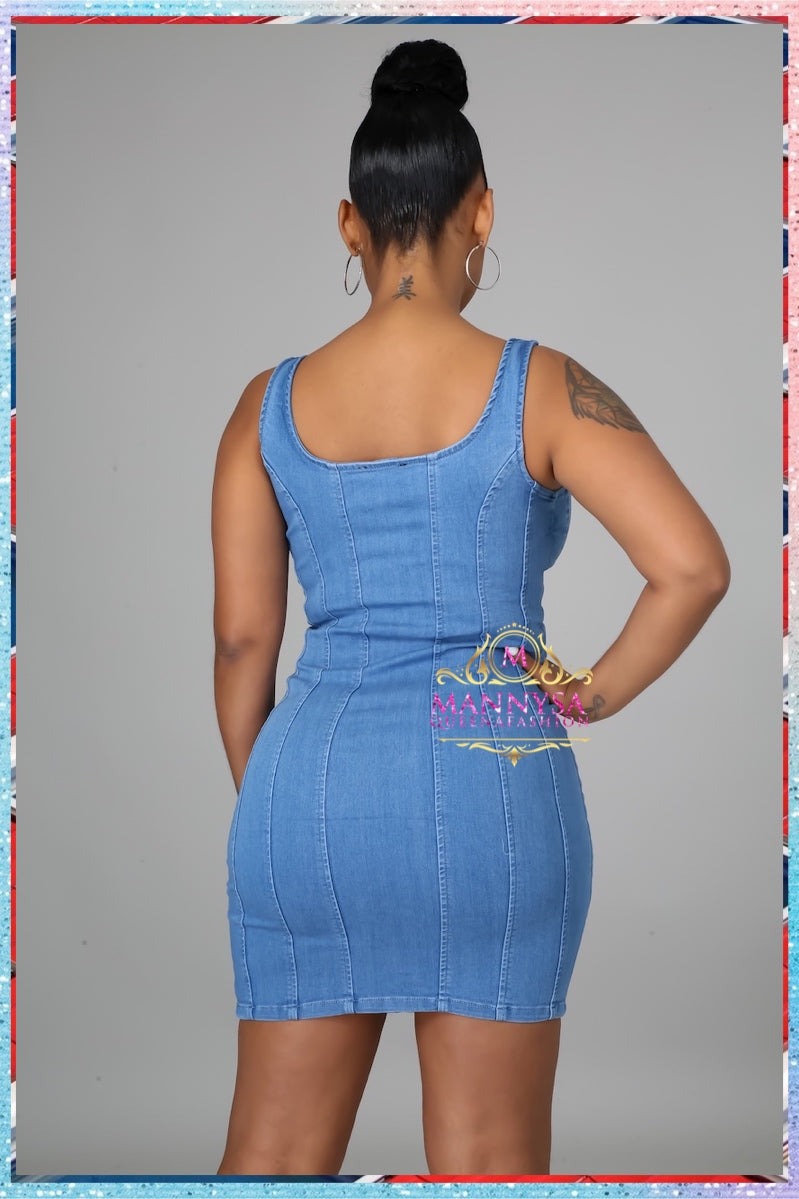 Bertha Denim Dress