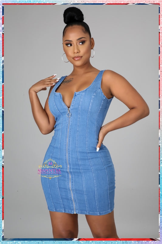 Bertha Denim Dress